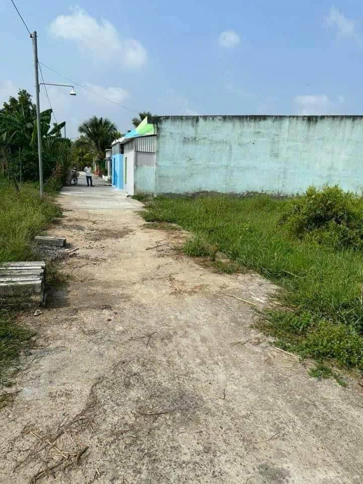 Đất ODT Hẻm Vườn Tùng, Bến Tre - 100m² Giá 4.5 Triệu/m²