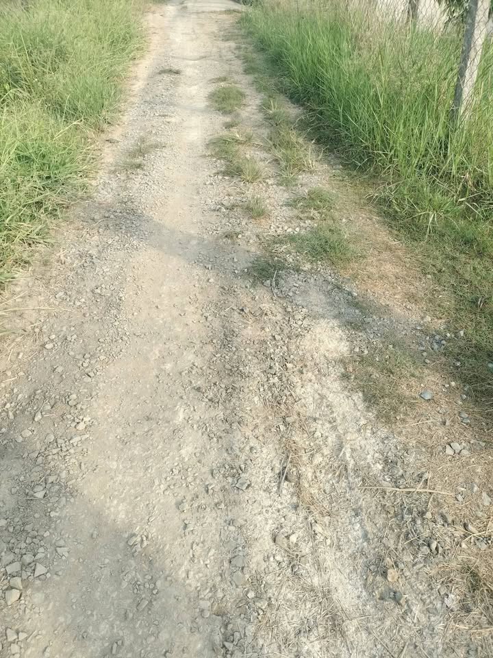 Đất vườn Thanh Mỹ, Đồng Tháp 5.8ha - Sổ đỏ, đầu tư bền vững!