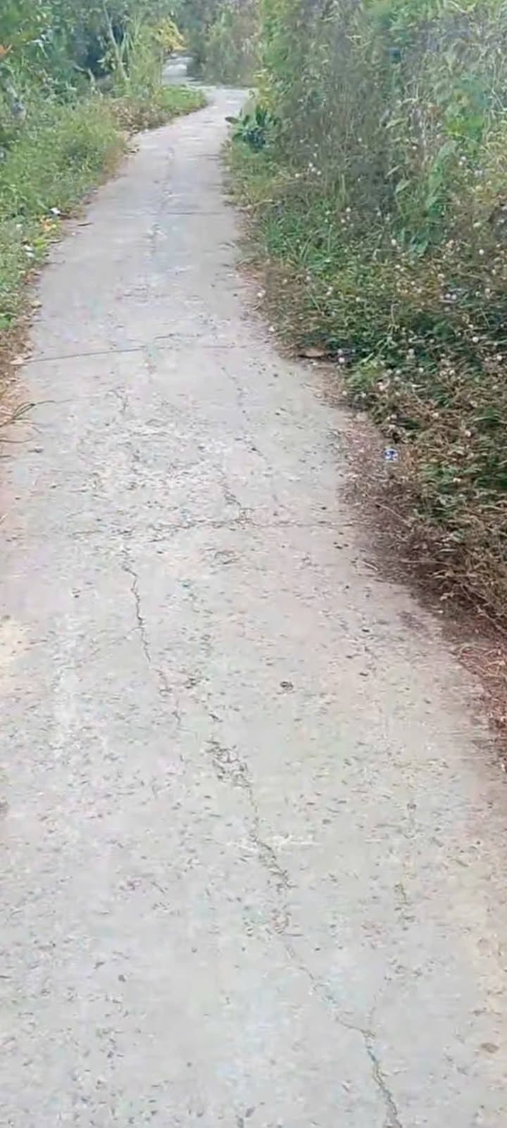 Đất vườn Ấp Lợi Nhơn, Mỹ Lợi A 1000m² giá 620 triệu - Nghỉ dưỡng lý tưởng!