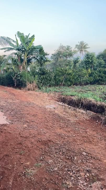 Đất nền Cư Bao Buôn Hồ 144m² - Tiềm năng tăng giá vượt trội!