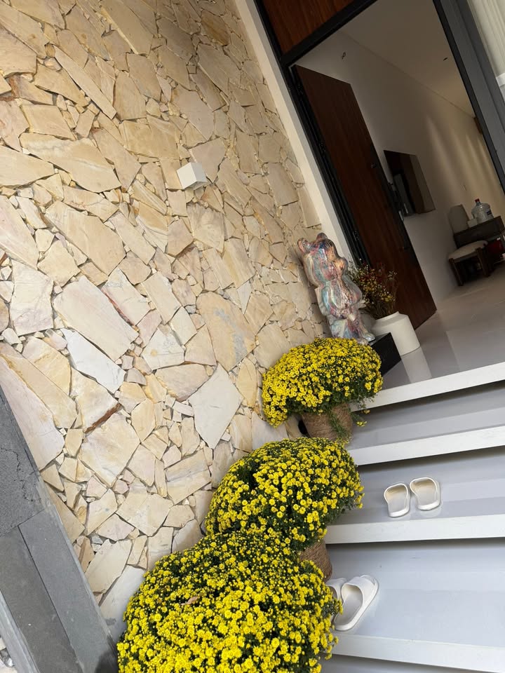 Nhà Phố Mai Hắc Đế, BMT - 137m² Sổ Đỏ, 3PN, Full Nội Thất, Giá 4.5 Tỷ