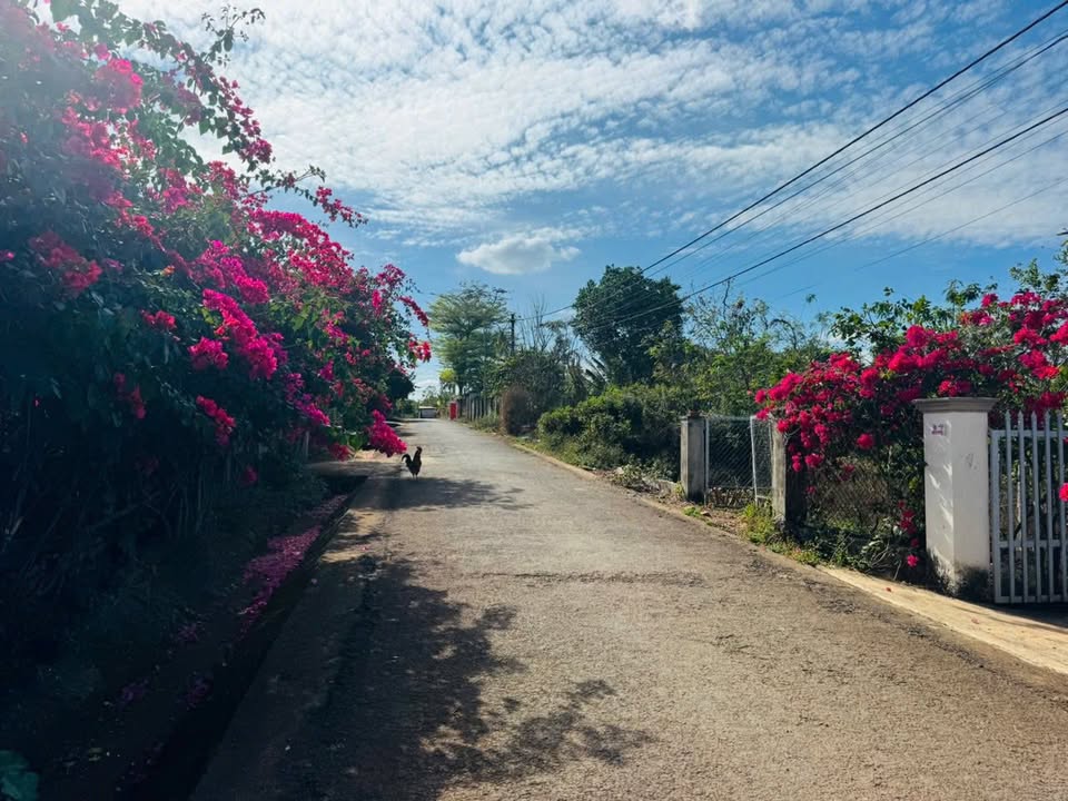 Đất nền Ea Tam BMT 645m² giá 3.5 tỷ - Tiềm năng tăng giá vượt trội!