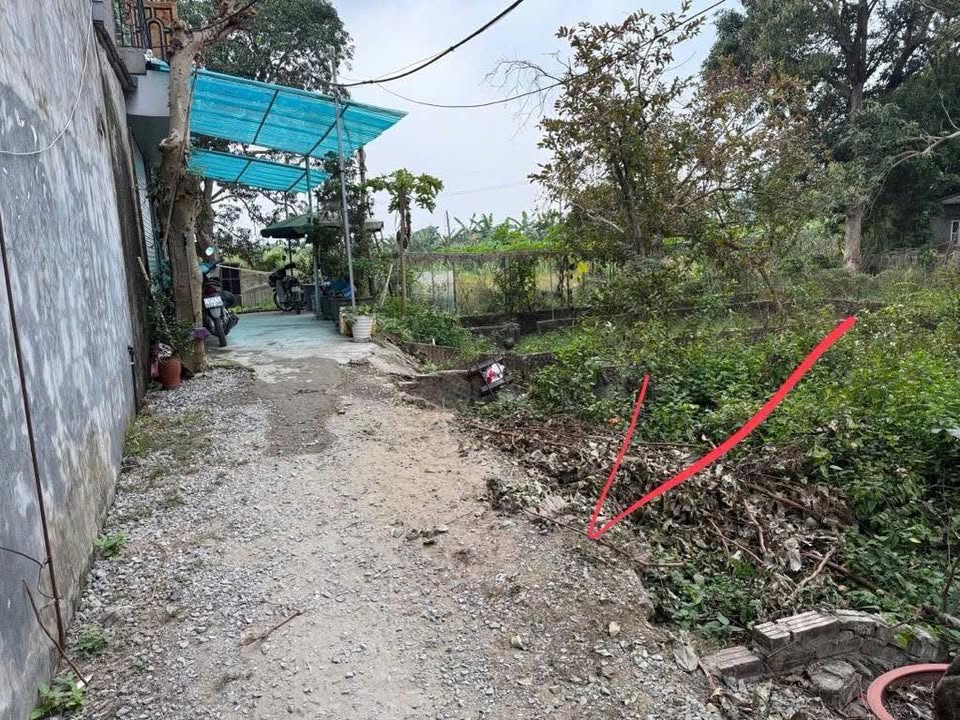 Đất nền Gia Lâm 60m² giá 2.75 tỷ - Sổ đỏ chính chủ, vị trí đẹp!