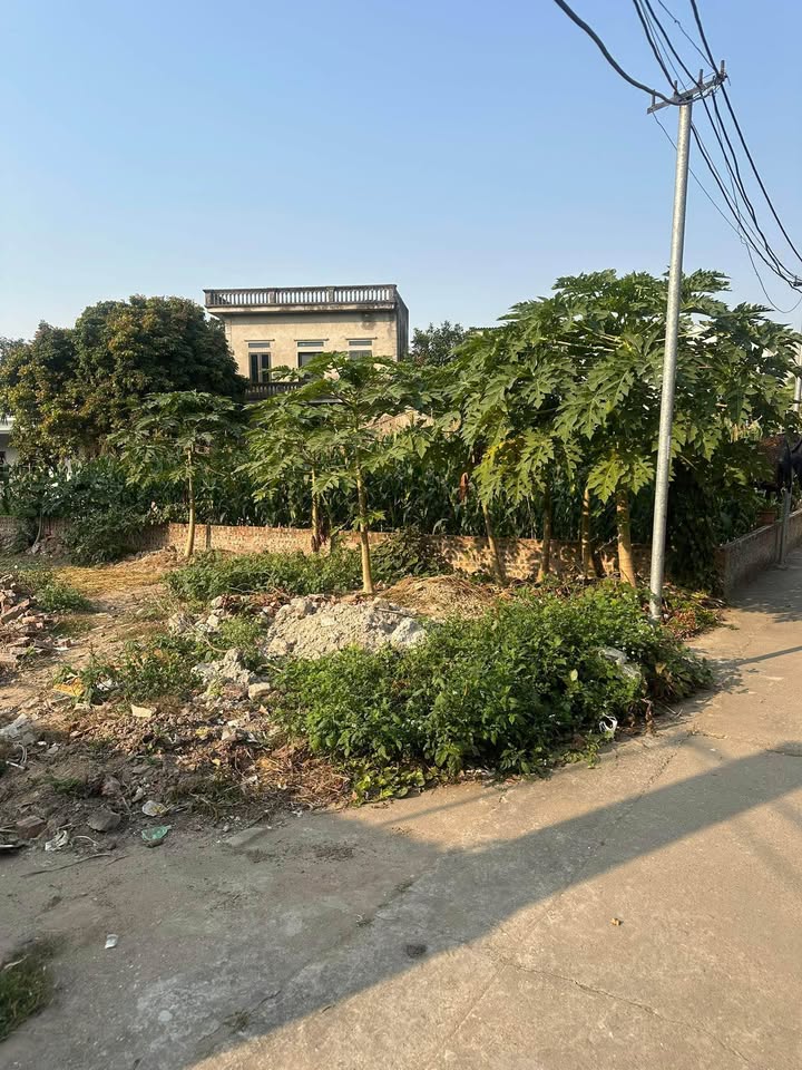 Đất nền Long Biên 90m² - Sổ đỏ chính chủ, hơn 1 tỷ