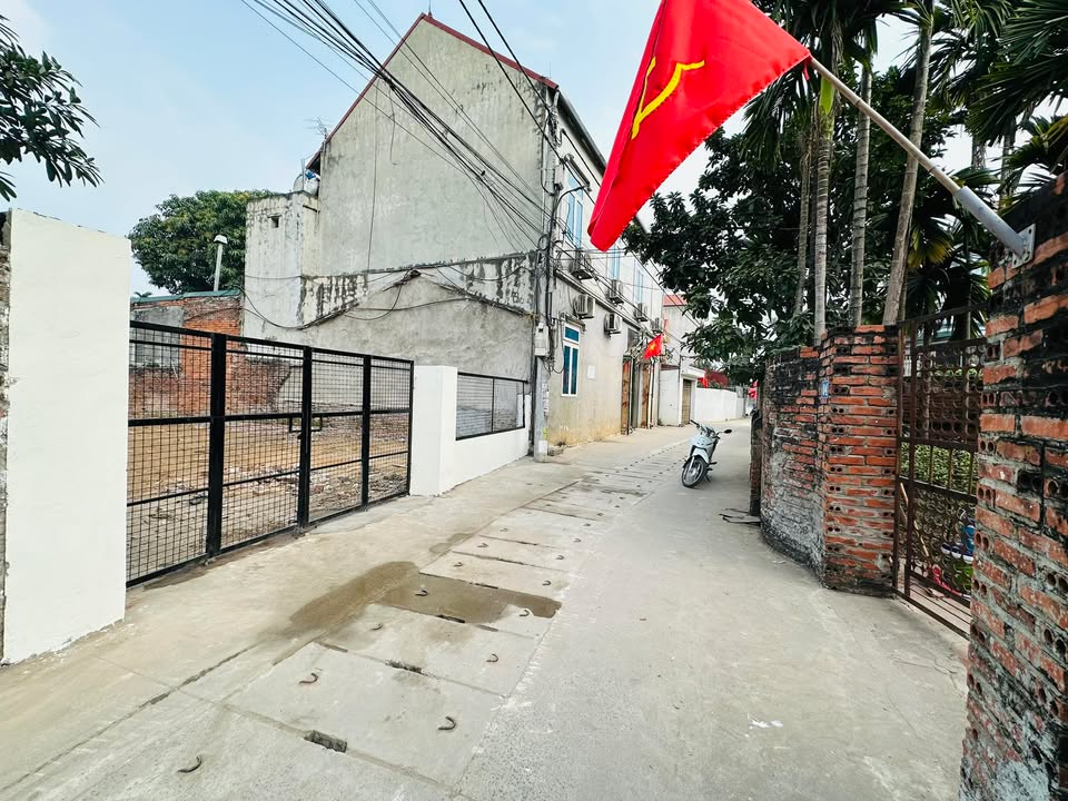 Đất nền Thôn Bướm Phúc Thọ 186.3m² - Tiềm năng tăng giá vượt trội!