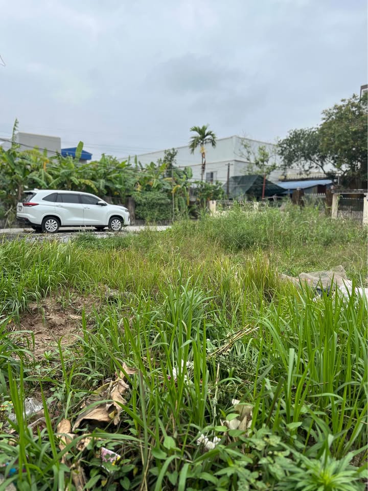 Bán Đất Mỹ Thắng Nam Định 45m² - Ô tô tận đất, Giá tốt đầu năm