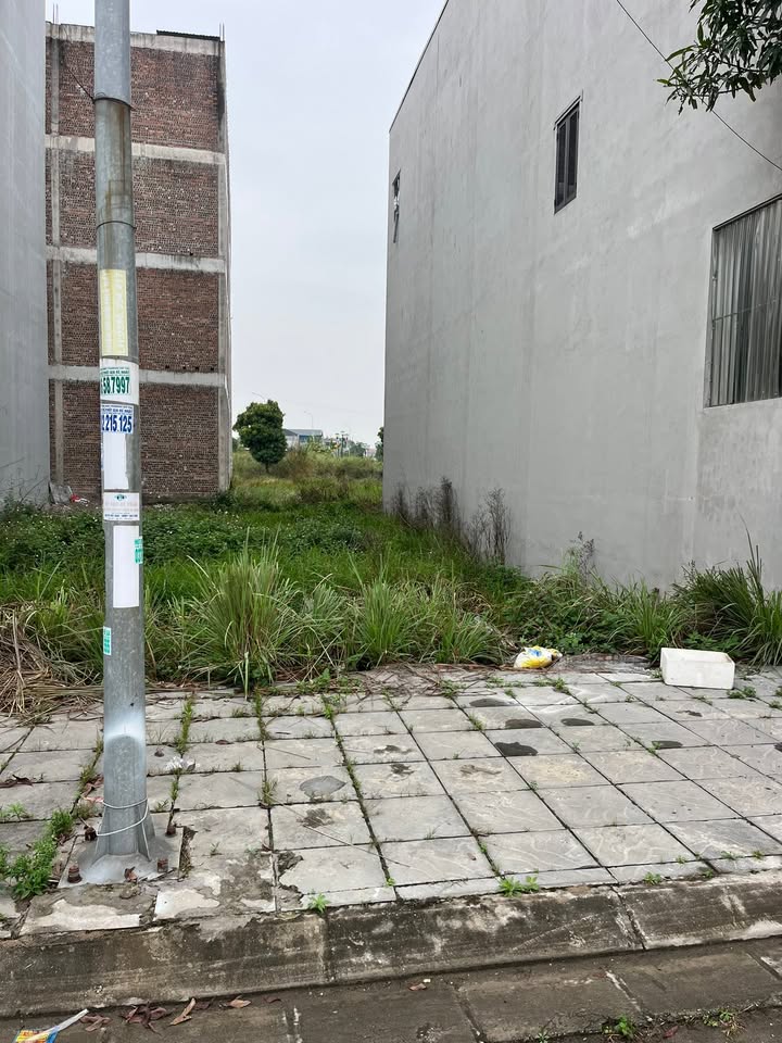 Đất nền KĐT Phượng Mao green Quế Võ 100m² - Tiềm năng tăng giá!