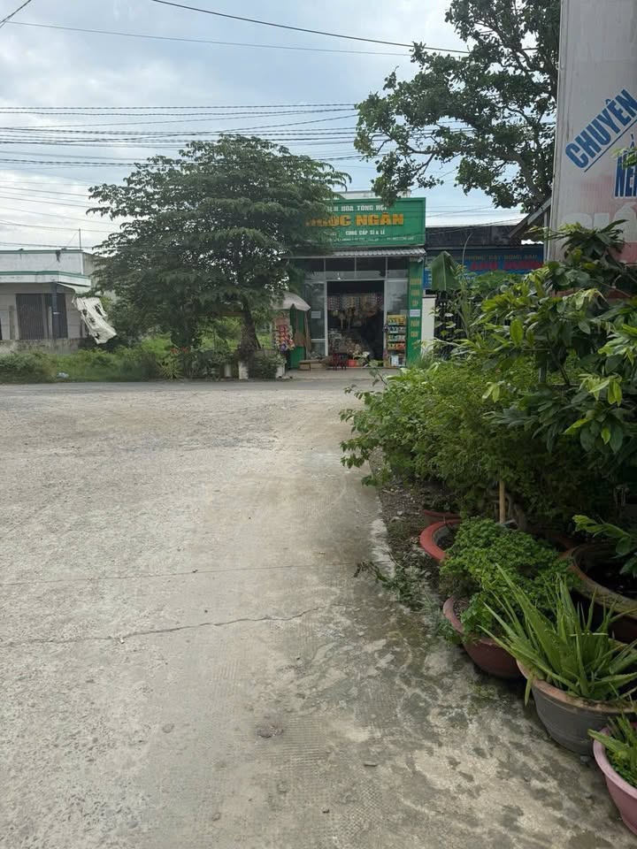 Nhà Cấp 4 Mặt Tiền Mỹ Hạnh, Đức Hoà 175m² - Kinh doanh sầm uất!