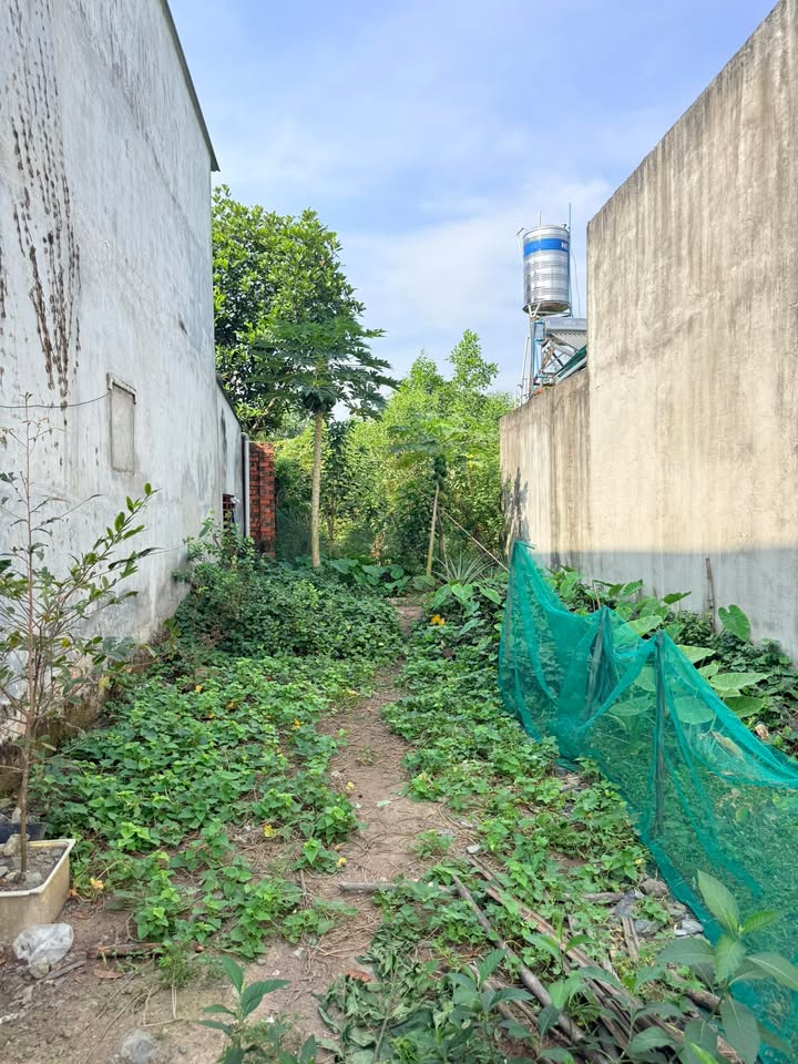 Đất nền Ấp 5 Long Thọ Nhơn Trạch 110m² - Pháp lý rõ ràng