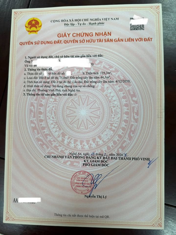 Đất Mai Hắc Đế TP Vinh 114m² giá 10.99 tỷ - Tiềm năng tăng giá!