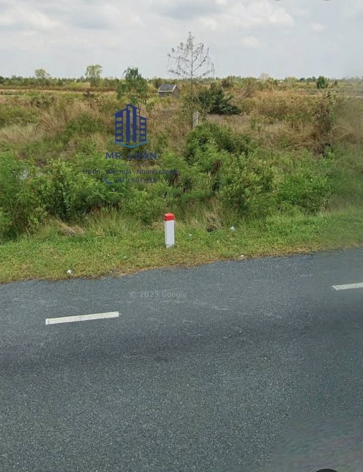 Đất nền Tuyến tránh QL1A Cà Mau 1460m² - Tiềm năng tăng giá vượt trội!