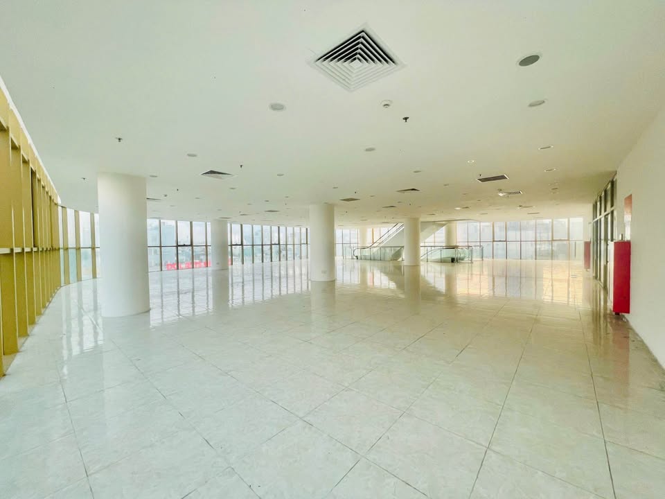 Shophouse TTTM Cẩm Lệ 1311m² - Vị trí đắc địa kinh doanh!