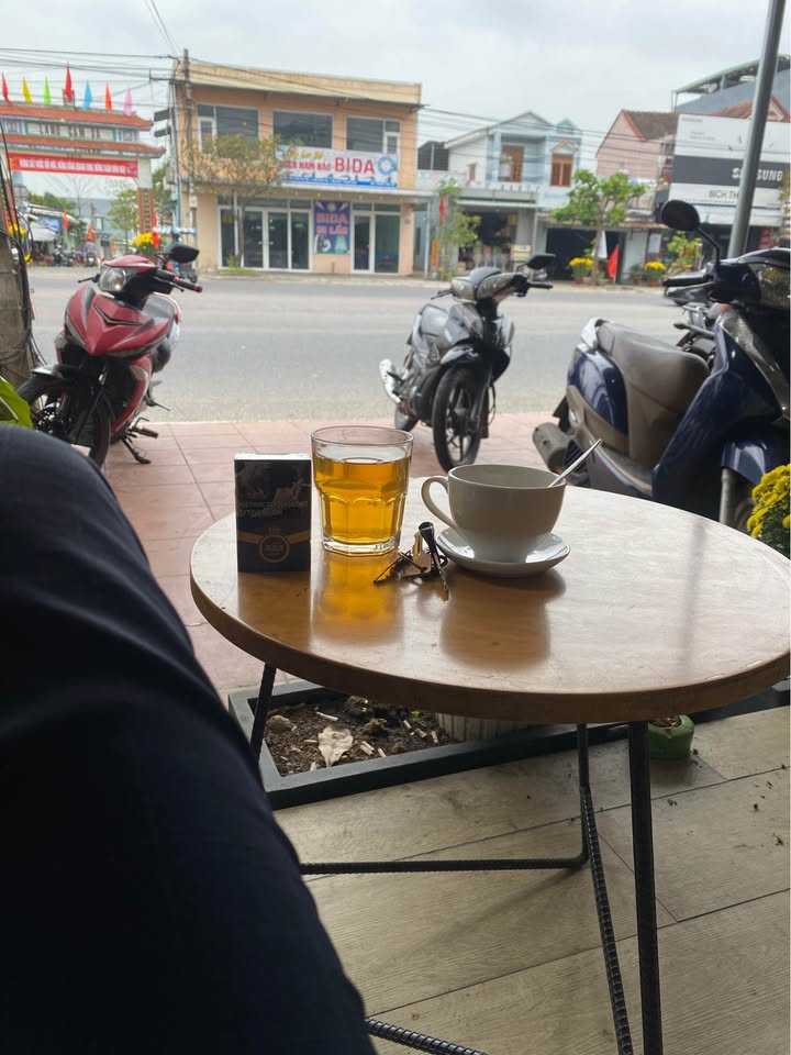 Đất Mặt Tiền Trần Thủ Độ, Đà Nẵng - 150m² Kinh Doanh Sầm Uất