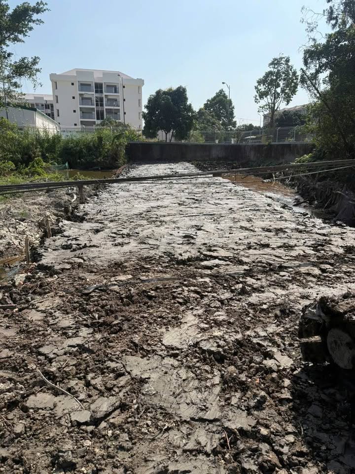 Đất nền Lý Văn Lâm Cà Mau 264m² giá 1.4 tỷ - Tiềm năng tăng giá!