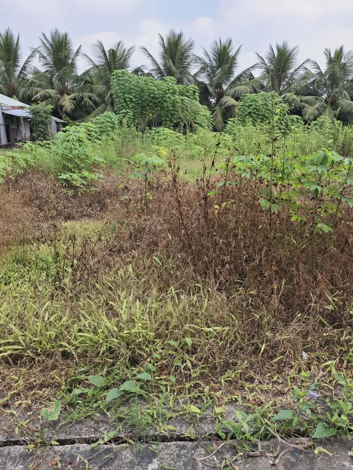 Đất nền Mỹ Tho 125m² 580 triệu - Sổ đỏ chính chủ, tiềm năng sinh lời!