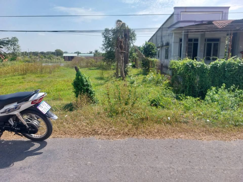 Đất nền Gò Dầu 170m² - Sổ đỏ chính chủ, tiềm năng tăng giá!