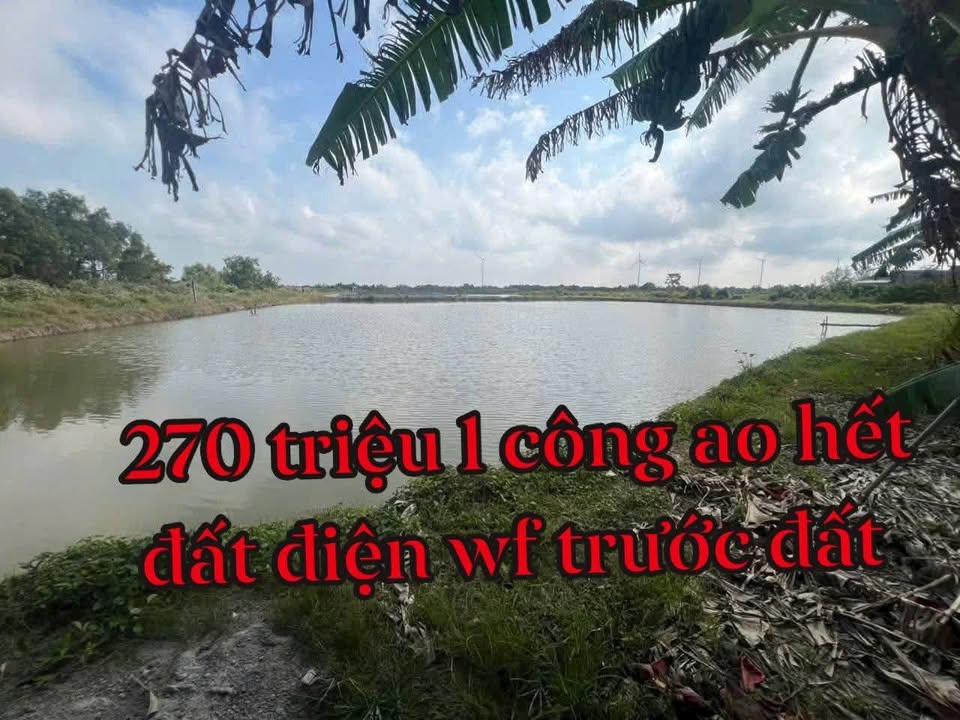 Đất Nền Ninh Thới, Cầu Kè 22.000m² giá 5.94 tỷ - Tiềm năng tăng giá!