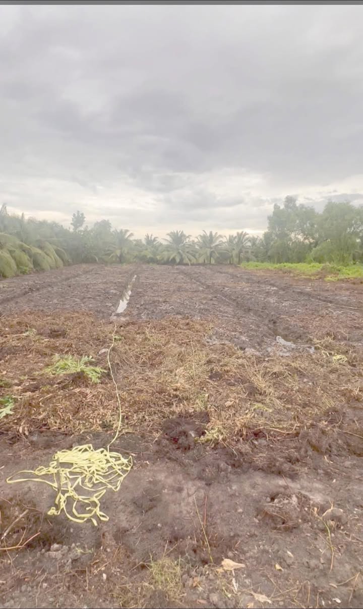 Bán đất vườn Bến Lức 530m² giá 1.4 tỷ - Tiềm năng tăng giá