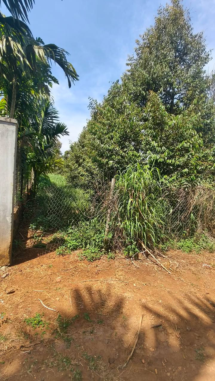 Đất Vườn Ea Mta, Đắk Lắk - 288m² Sổ Đỏ, Gần QL27