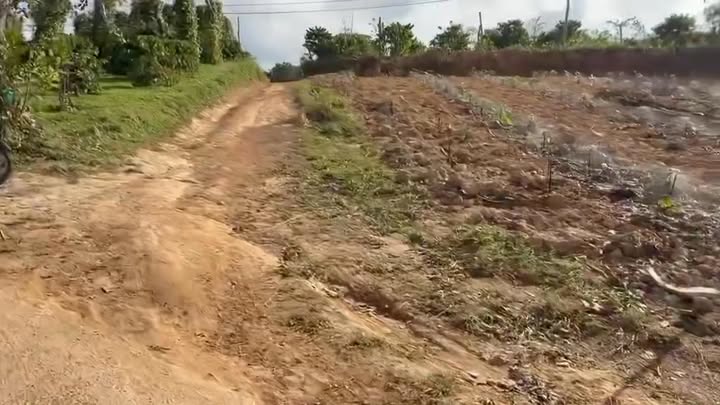 Đất Rẫy Đắk Gằn 3000m² - Sổ hồng sẵn, đầu tư sinh lời!