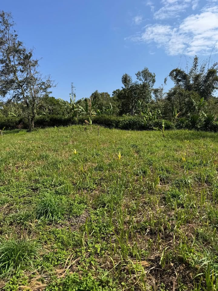 Đất Nền Vuông Vắn 500m² Cách Võ Nguyên Giáp 300m - Sổ Đỏ Riêng, Giá Đầu Tư 1.2 Tỷ