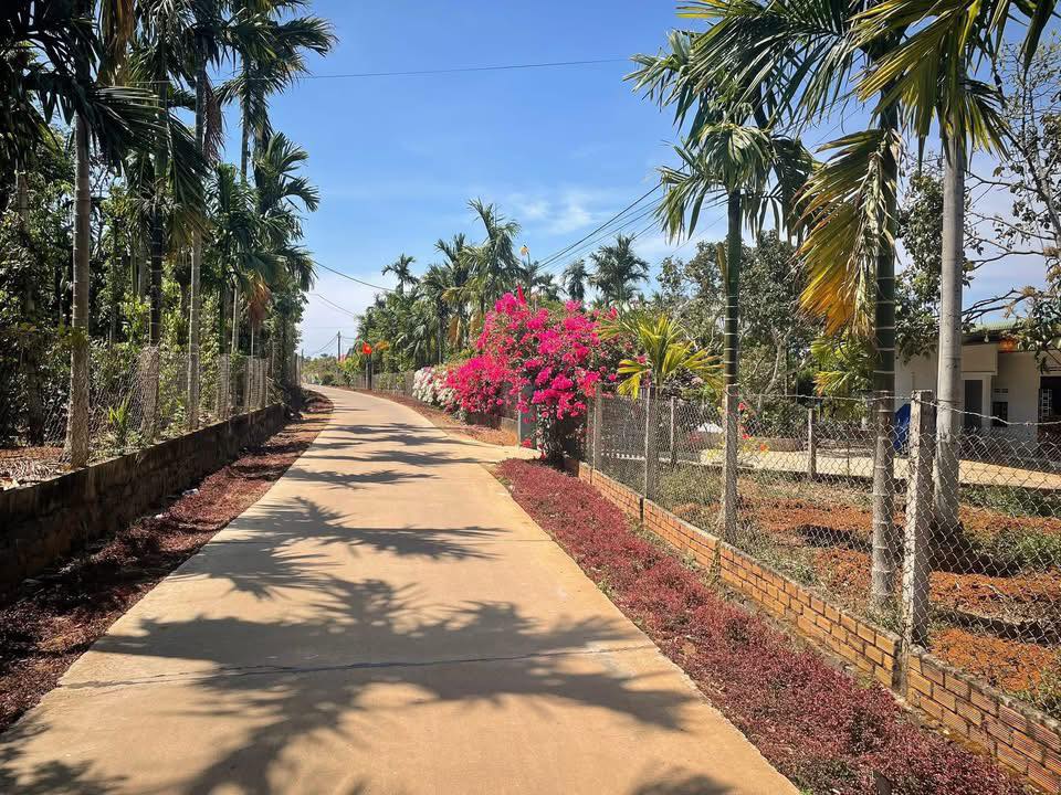 Đất vườn Ea Ning Cư Kuin 2310m² giá 2 tỷ - Nghỉ dưỡng lý tưởng!