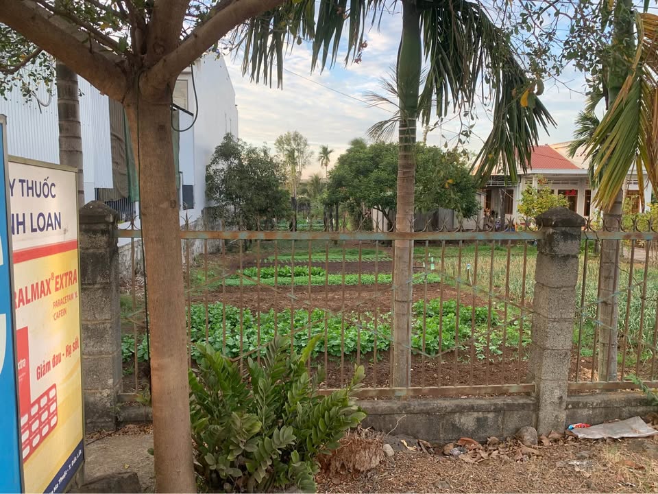 Đất Mặt Tiền QL14 Buôn Ma Thuột - Kinh Doanh Sầm Uất, Giá Tốt