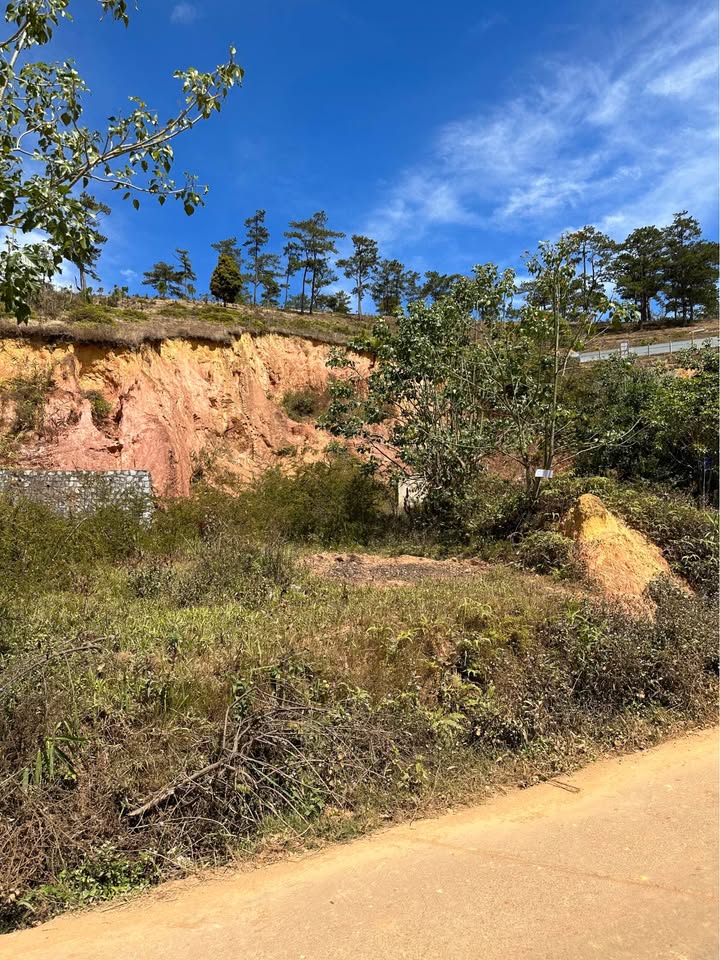 Đất Nền Đà Lạt 763m² Sổ Hồng Riêng - Giá Tốt Đầu Tư Nghỉ Dưỡng