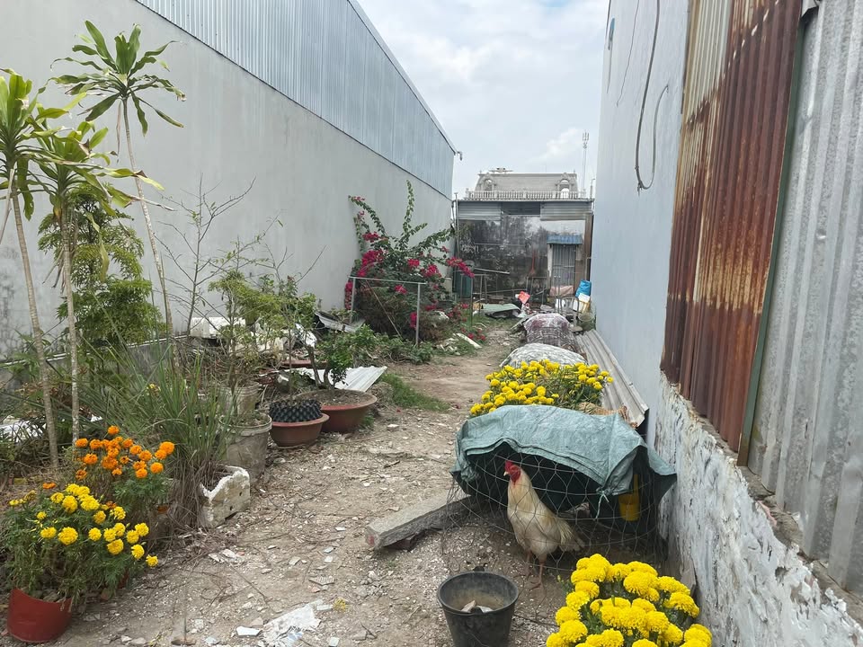 Đất nền Trường Xuân A Cần Thơ 86m² - Tiềm năng tăng giá!