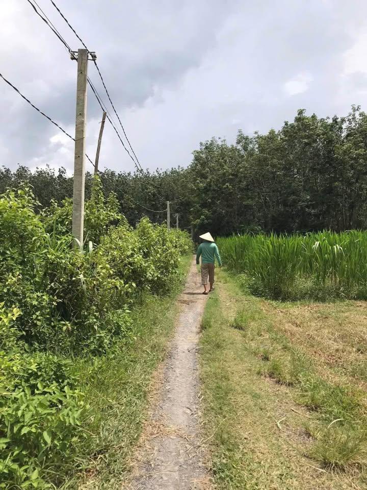 Bán Đất 512m² Trảng Bàng - Sổ Hồng Riêng, Giá 700 Triệu - Đầu Tư Đón Sóng Cao Tốc