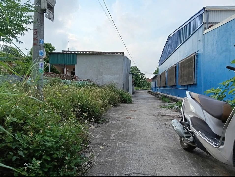 Đất nền Kiến Xương, Thái Bình 99.4m² - Sổ đỏ vuông vắn, giá 4xx triệu