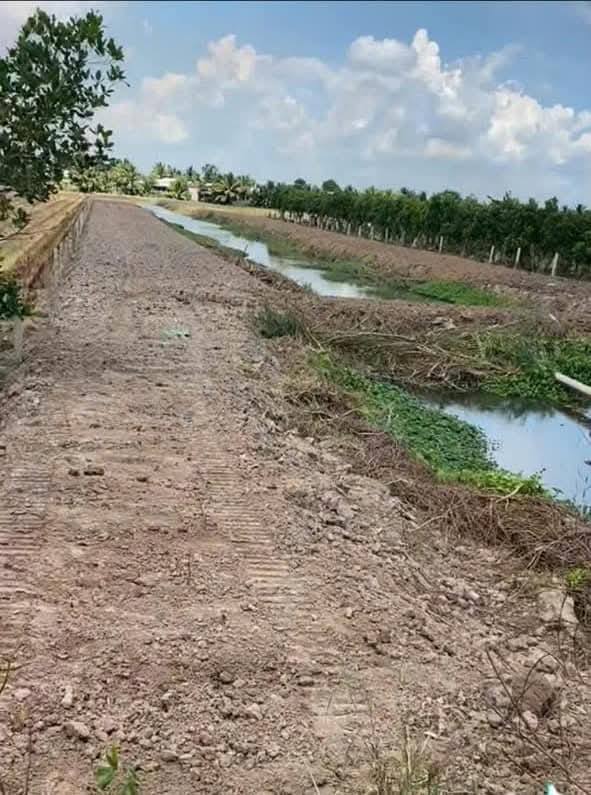 Đất Vườn 7500m² Mặt Tiền DT850, Mỹ Tho - Tiềm Năng Sinh Lời Cao