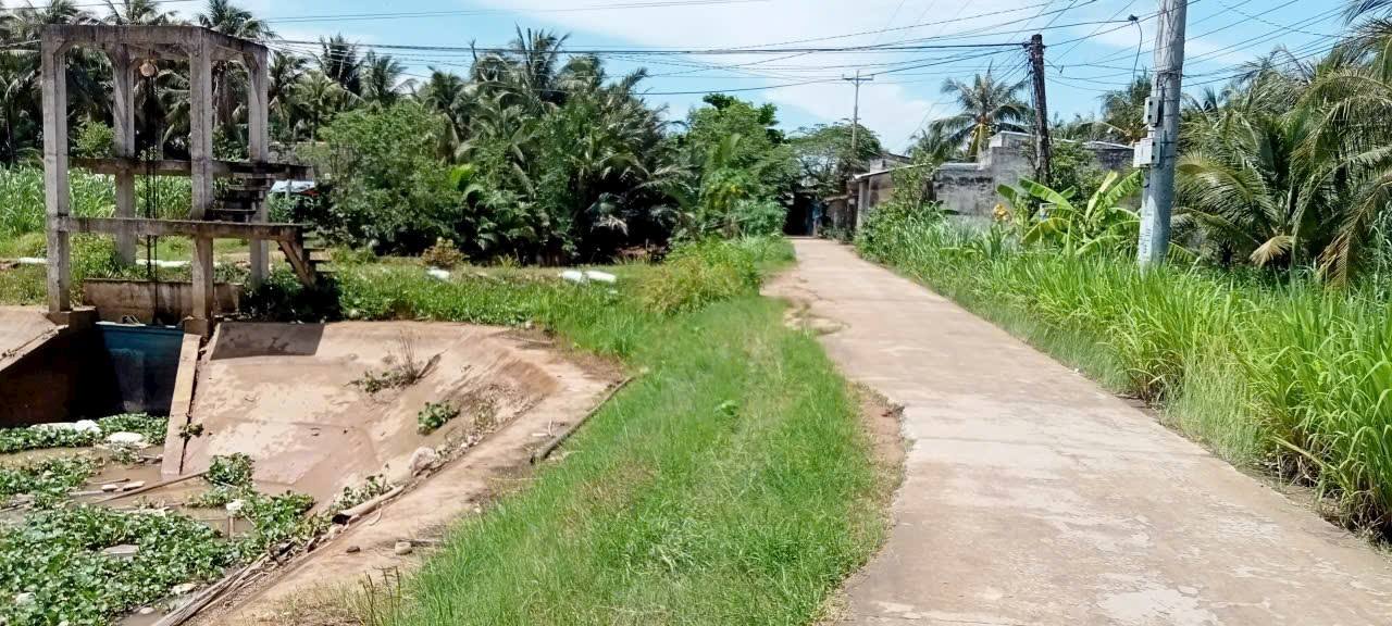 Đất Nền Thạnh Phú Đông 3000m² - Tiềm năng tăng giá vượt trội!