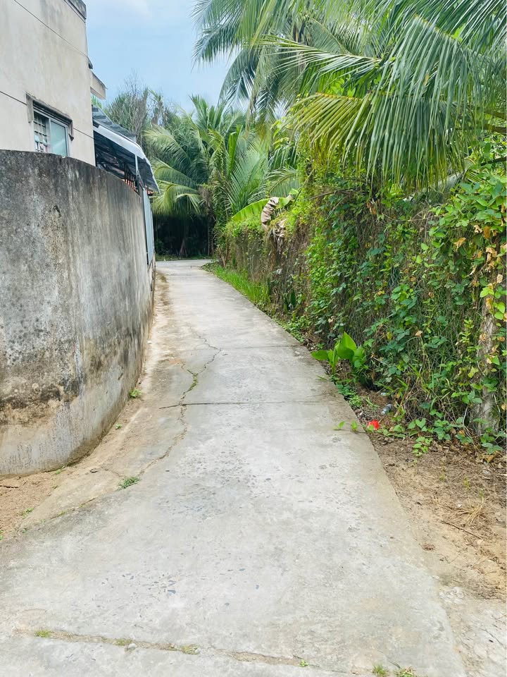 Đất Vườn Dừa Nhơn Thạnh 2300m² Giá 1.78 Tỷ - Nghỉ Dưỡng Lý Tưởng