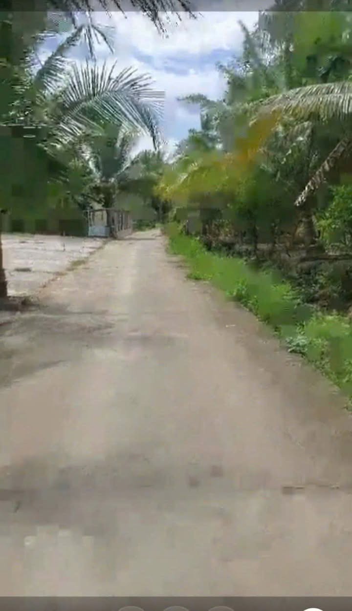 Bán Gấp Đất Vườn 820m² Sổ Đỏ Tại Nhơn Thạnh, Bến Tre - Giá 750 Triệu