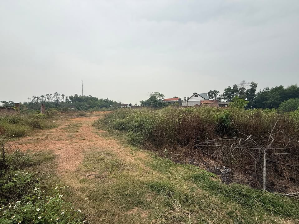 Đất nền Phổ Yên, Thái Nguyên 2026m² - Sổ đỏ sẵn sàng, giá đầu tư 6 tỷ