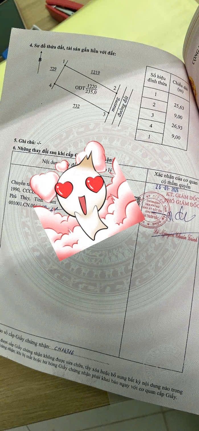 Đất Thổ Cư Hàm Thắng, Lâm Đồng 235m² - Sổ Đỏ Sẵn Sàng