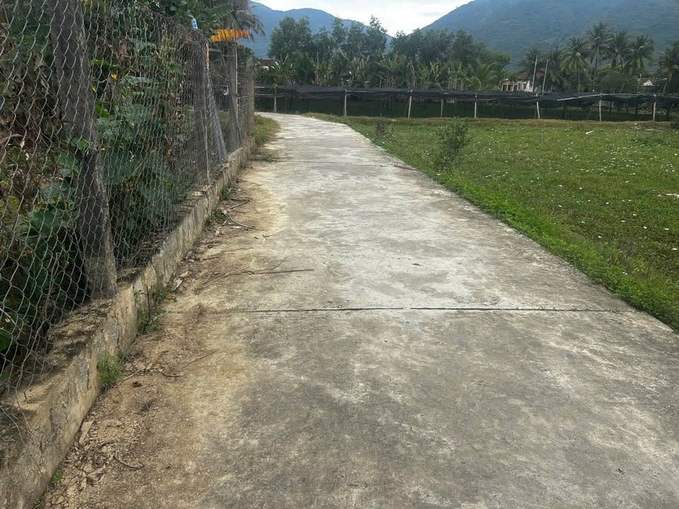 Bán Đất Diên Điền 96m² Sổ Đỏ - Đường Ô Tô Thông Thoáng