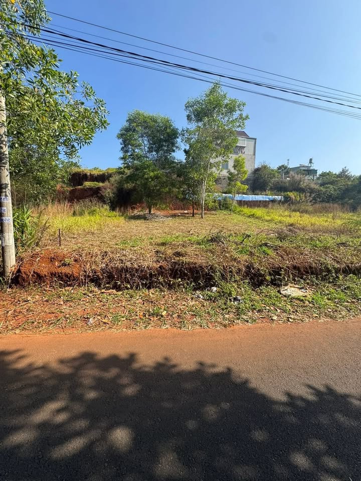 Bán Gấp Đất Vàng 300m² Đường Mạc Đỉnh Chi, Bảo Lộc - Sổ Hồng Sẵn Sàng