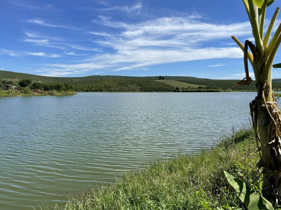 Đất Vườn Bảo Lâm 6000m² - Nghỉ Dưỡng Lý Tưởng, View Hồ Đắc Lộ!