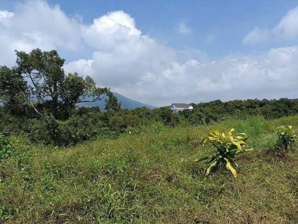 Bán đất Tân Lạc Bảo Lâm 250m² giá 600 triệu - Sổ đỏ chính chủ