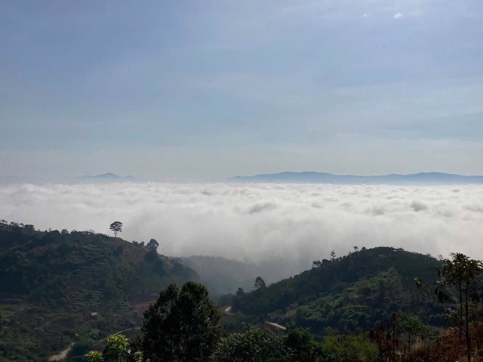 Đất vườn Lộc Thành 3000m² giá 1.75 tỷ - Nghỉ dưỡng lý tưởng!