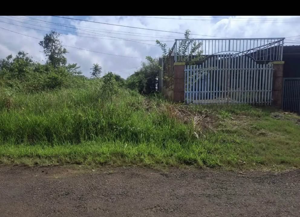 Đất Mặt Tiền Trần Nhật Duật, Bảo Lộc - 168m² Thổ Cư, Giá 1.95 Tỷ