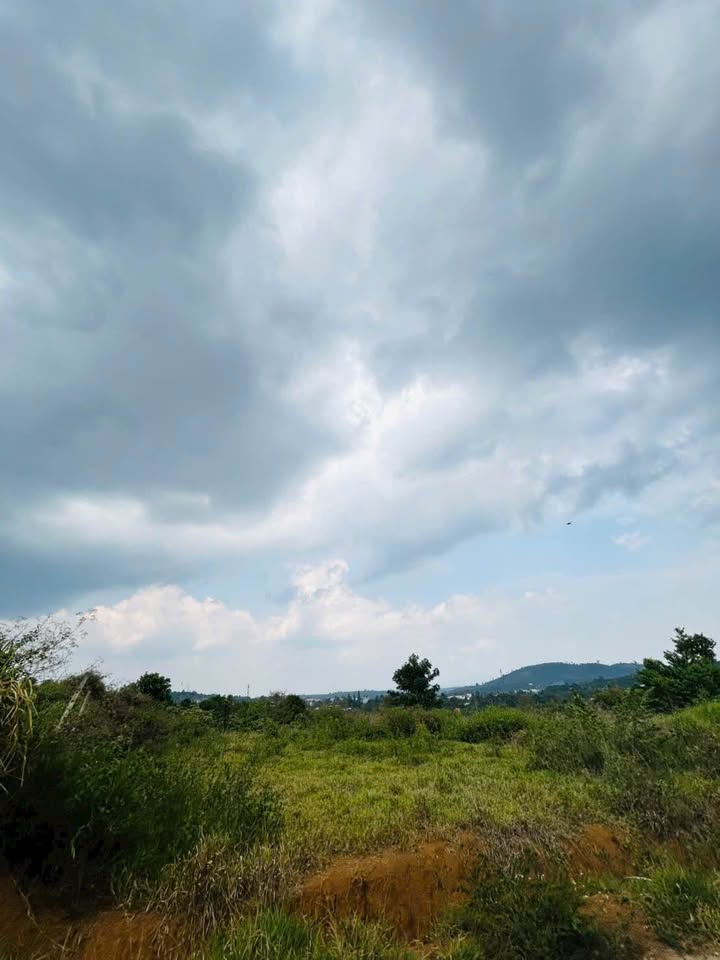 Đất Mặt Tiền Chi Lăng Bảo Lộc 1000m² - Sổ Đỏ Vuông Vắn, Giá Đầu Tư 3.6 Tỷ