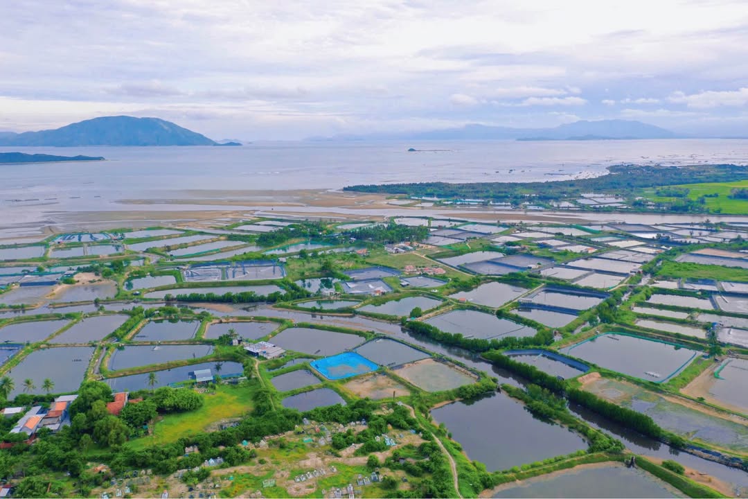 Đất nền Tân Dân - Vạn Ninh: 986m² sát Sân bay Vân Phong, tiềm năng tăng giá