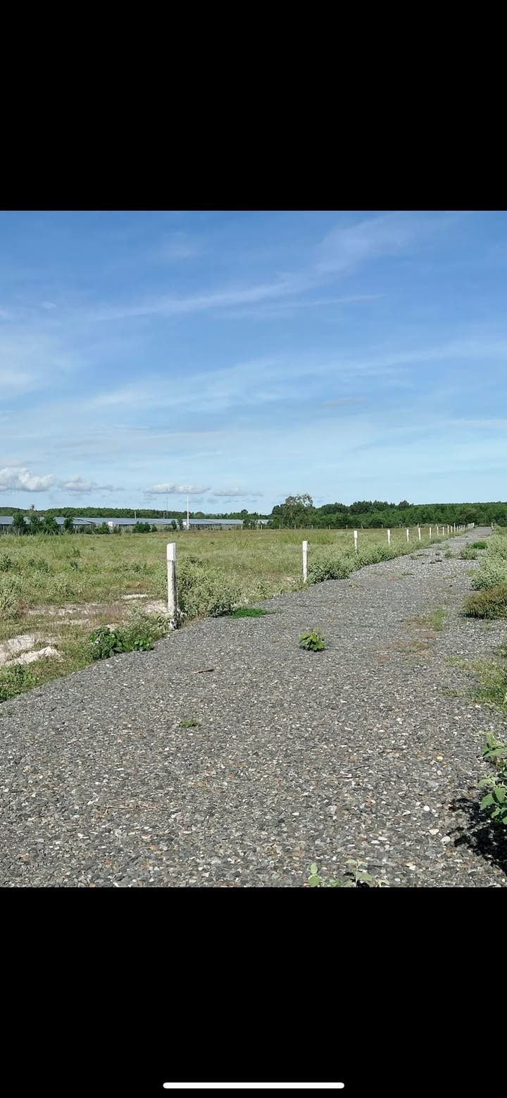 Bán Gấp Đất Farm 3.4ha Xã Tân Phước, La Gi - Giá Đầu Tư 17 Tỷ