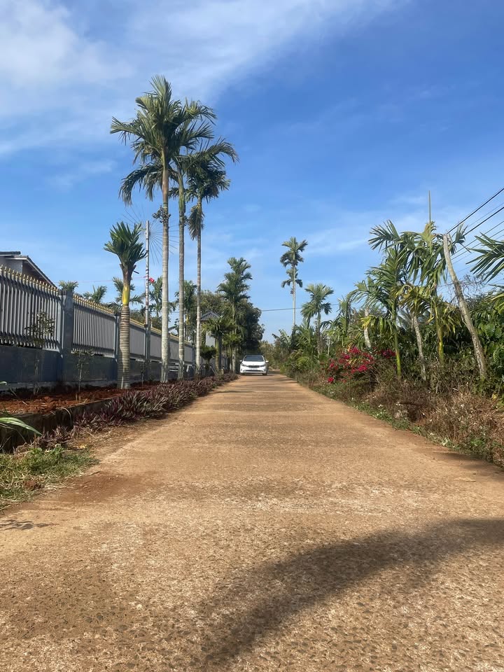 Đất thổ cư Buôn Hồ 250m² (5x50m) - Sổ sẵn, gần chợ, trường học