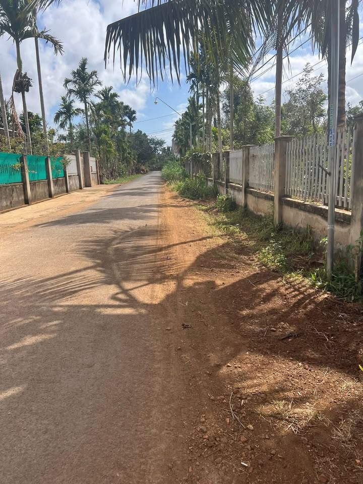 Đất Nền Tuy Hòa 210m² - Sổ Hồng Sẵn Sàng, Gần Chợ 19/8