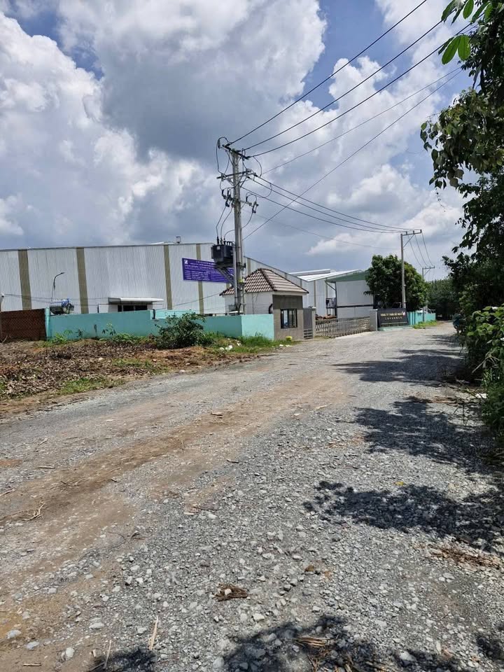 Đất SKC Mặt Tiền Tân Hiệp 12, Hóc Môn - 1542m² Giá Ngộp