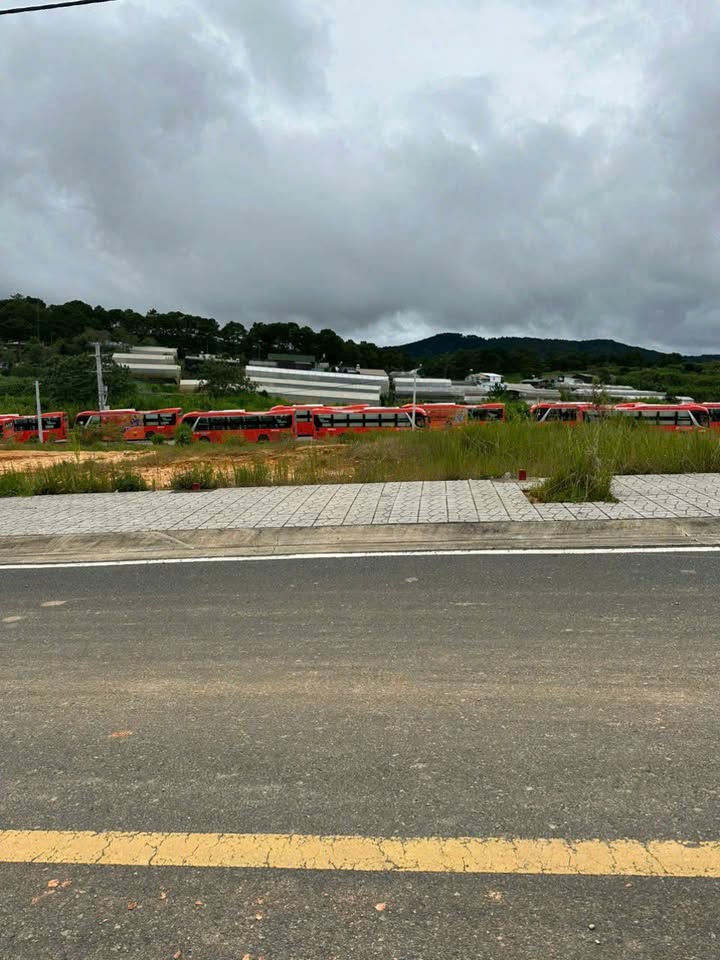 Đất nền Xuân Hương Đà Lạt 119m² 8,8 tỷ - Pháp lý rõ ràng